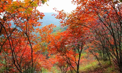 Wulong River Scenic Area