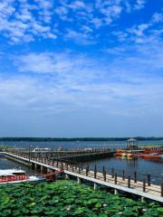 Baoyinghu National Wetland Park