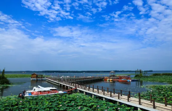 寶應湖國家濕地公園門票+咖啡+森林小火車+自助竹筏家庭（1位成人+1位小童）