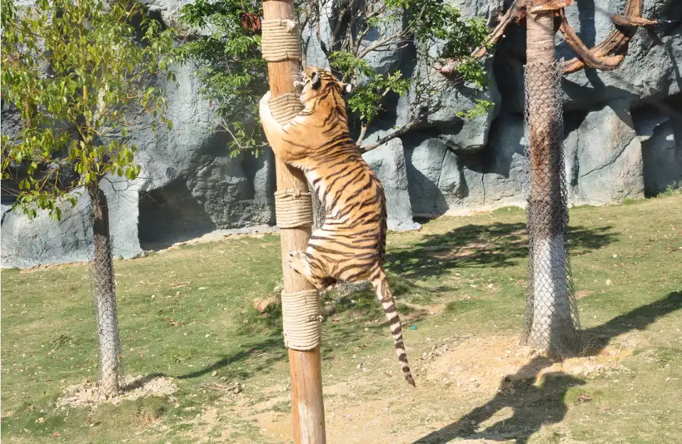3_Yonghong Wild Animal World