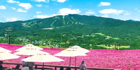 蛭野高原
