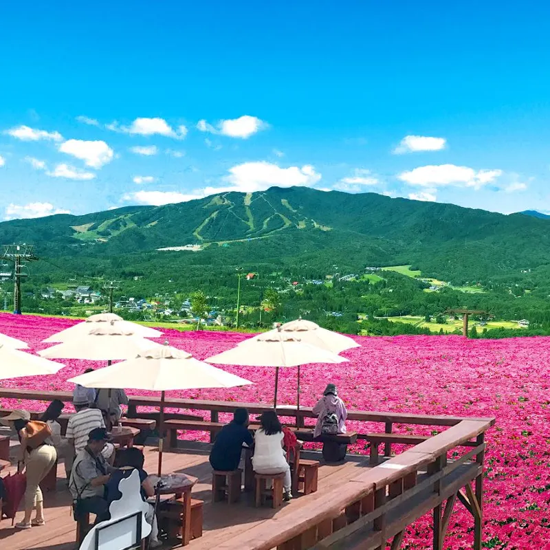 蛭野高原