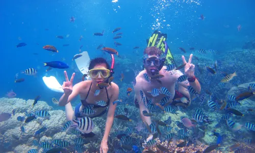 Bali Diving