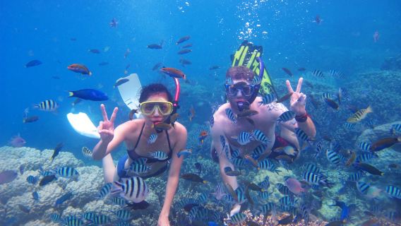 Snorkeling or Scuba Diving in Bali