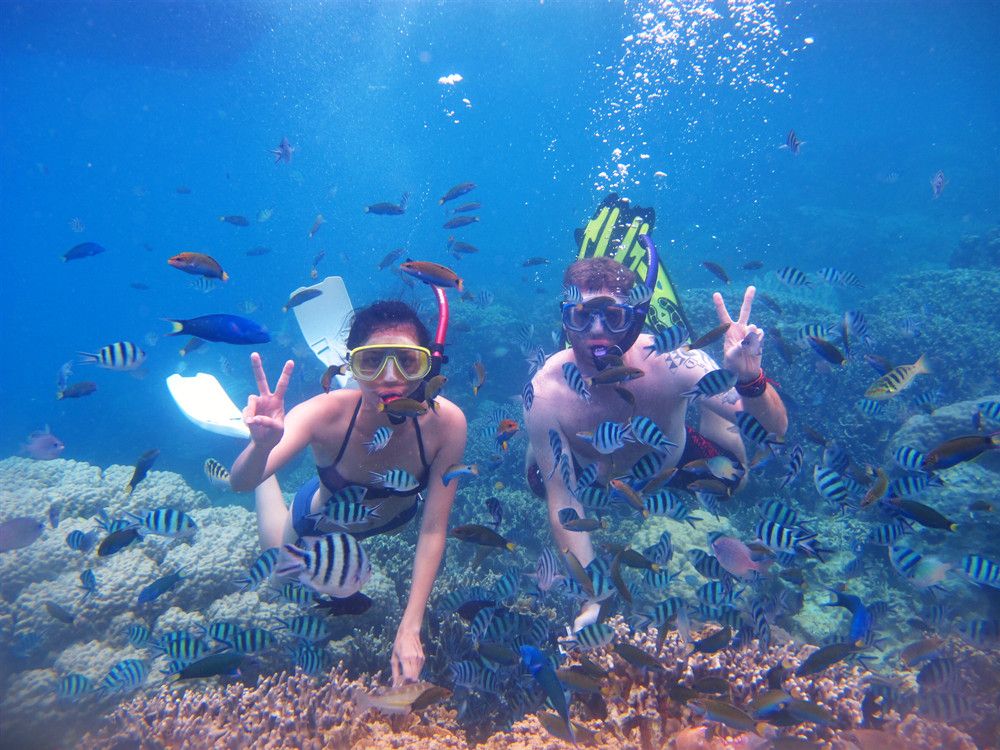 Snorkeling or Scuba Diving in Bali