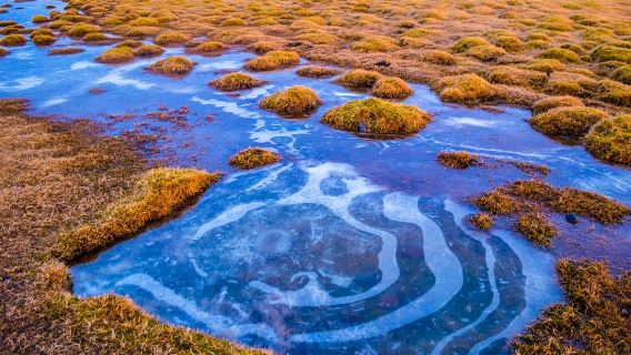 Iceland Golden Circle and Blue Lagoon 1-day tour|Premium small group city transfer|Optional tickets