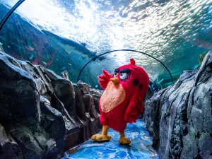 Sea Life Sydney Aquarium