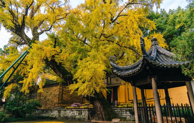 Huishan Ancient Town