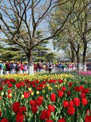 World Flower Garden