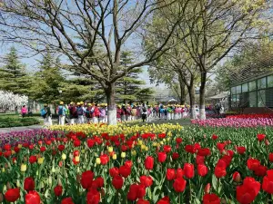 World Flower Garden