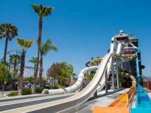 Six Flags Magic Mountain