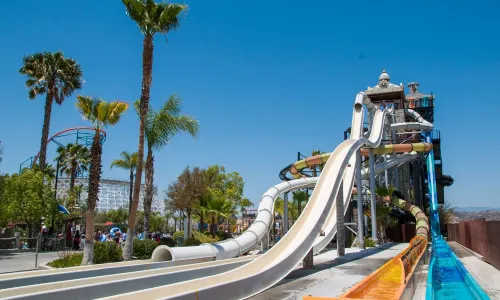 Six Flags Magic Mountain