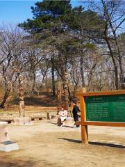Dongling Country Park