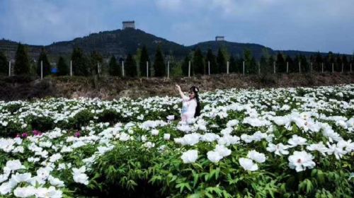 Ganling Datang Peony Garden