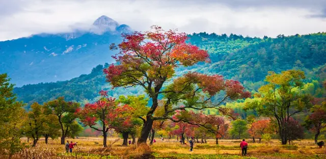 Fall Foliage Sightseeing in Huanggang