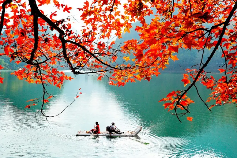 紅葉森林公園