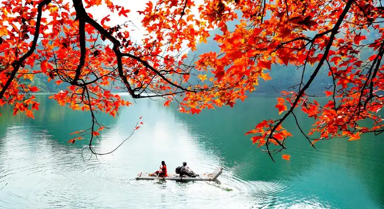 Debao County