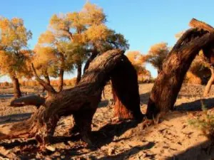 Dawakol Desert Scenic Spot