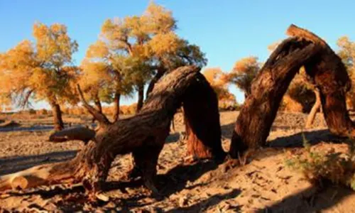 Dawakol Desert Scenic Spot