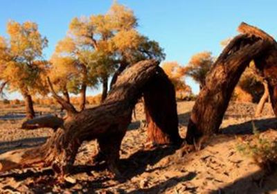 Dawakun Desert Scenic Area