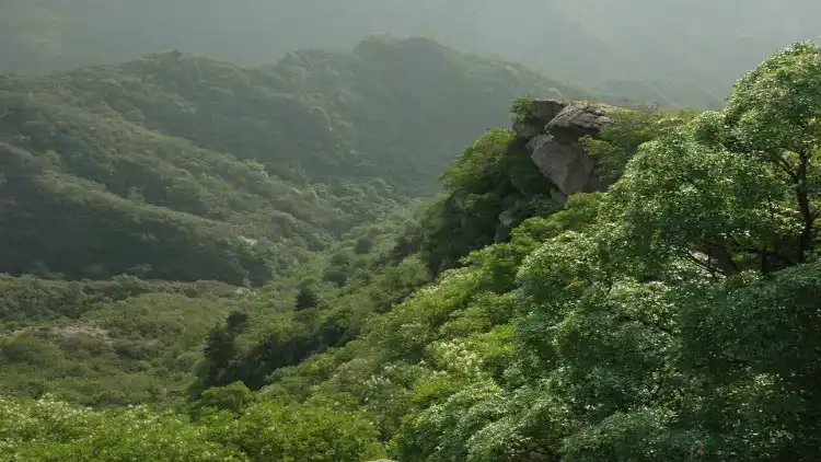 1_Tenglong Mountain