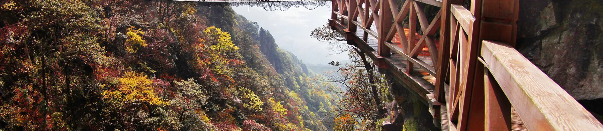 Fall Viewing Attractions