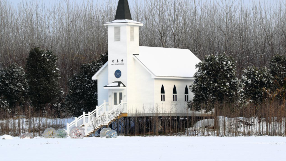 Jingzhou Xingdao Ecological Sightseeing Agricultural Park