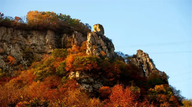 Maple Leaf Viewing in Benxi