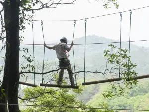 飛越叢林探險樂園