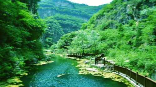 Tongtianxia Scenic Area