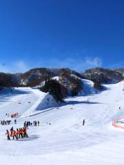 Imajyo 365 Ski Area