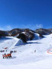 今莊365滑雪場