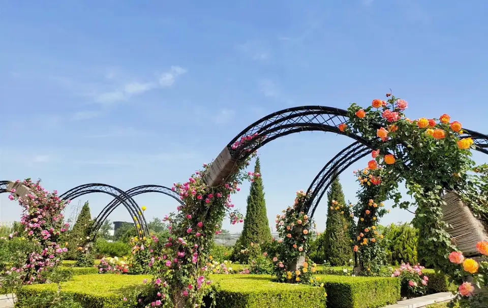 4_Garden of World's Flowers