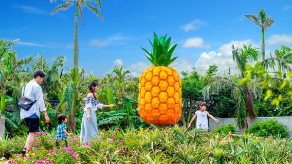 Okinawa Churaumi Aquarium & Nago Pineapple Park & Kouri Island day tour|Chinese,English, and Korean Audio Guide