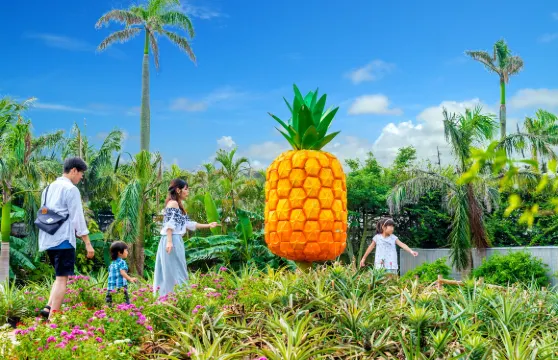 沖繩美麗海水族館&名護菠蘿園&古宇利島一日遊|中英韓語音導覽