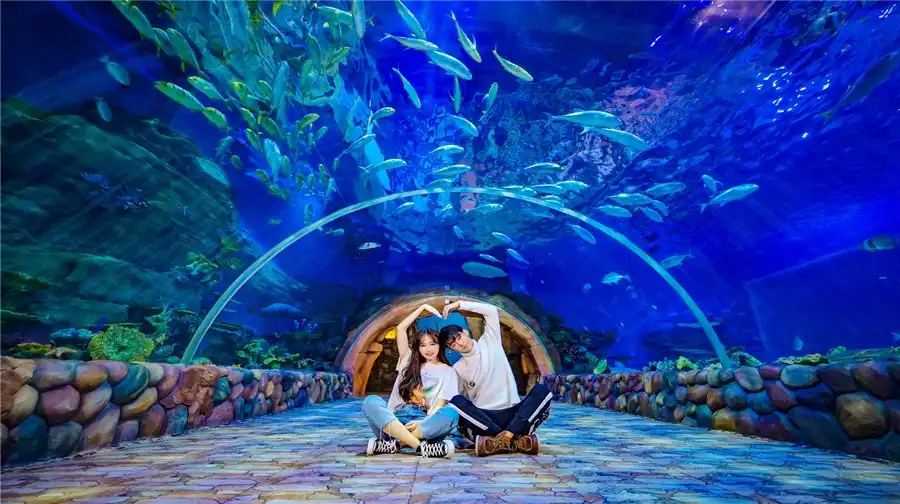 華夏文旅海洋公園周辺のホテル