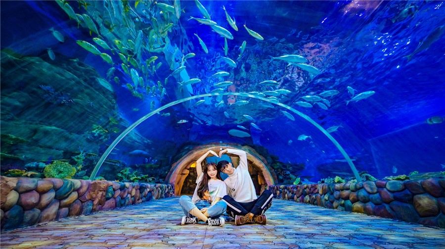 華夏文旅海洋公園