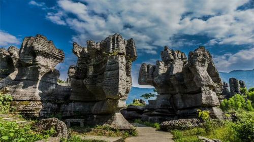 Western Bamboo and Stone Forest