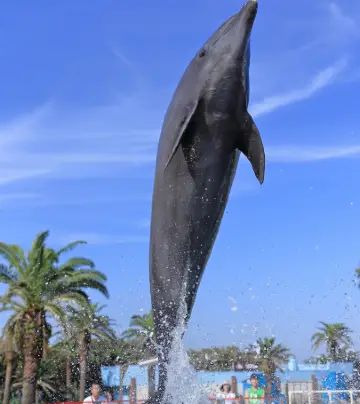 千葉縣木更津市top10好去處 21木更津市旅遊攻略 Trip Com