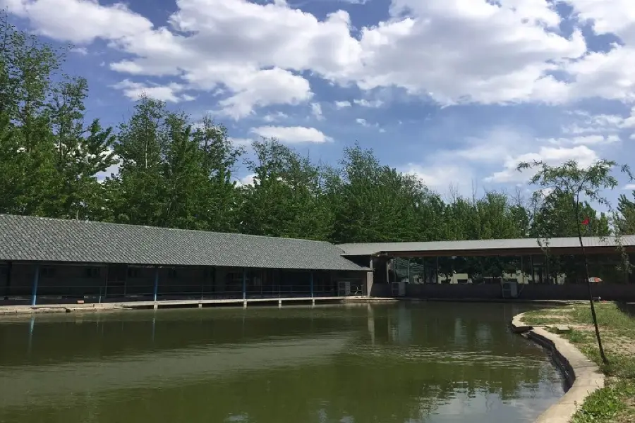 Tianjinshi Longyuan Mashu Club