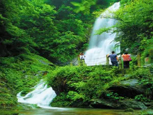 Daxiong Mountain National Forest Park