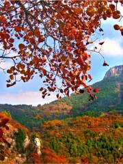 Baodugu National Forest Park