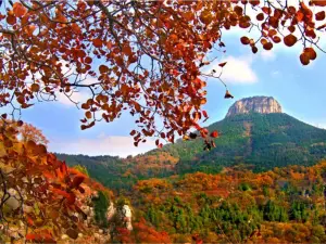 Baodugu National Forest Park