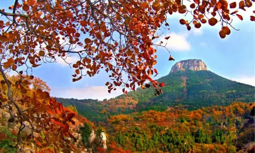 Baodugu National Forest Park