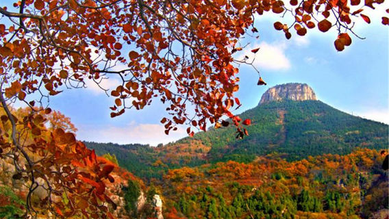 Baodugu National Forest Park