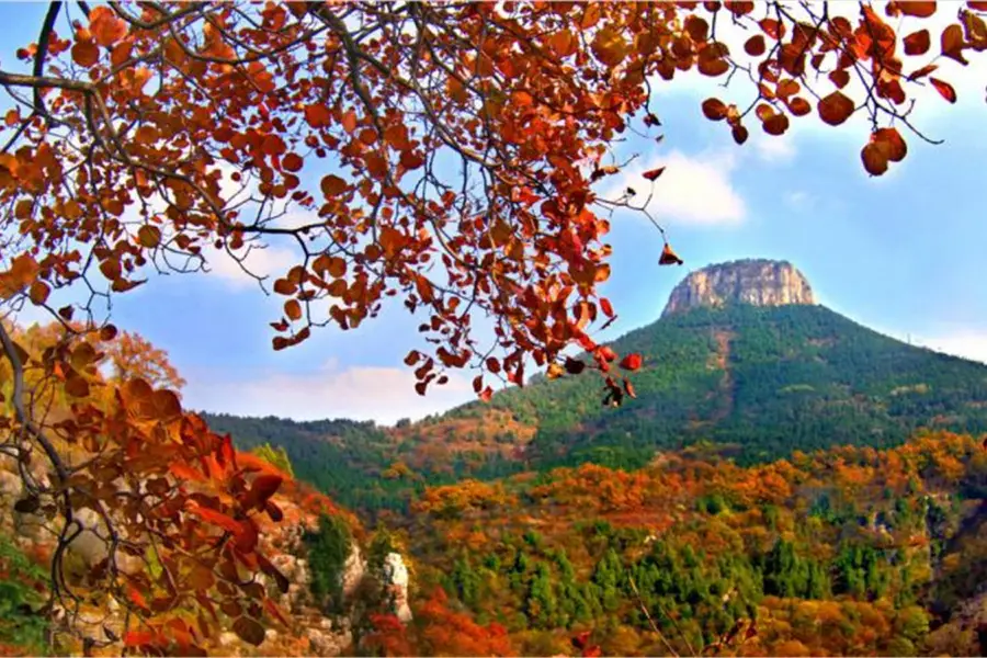 포옹 국립 삼림 공원