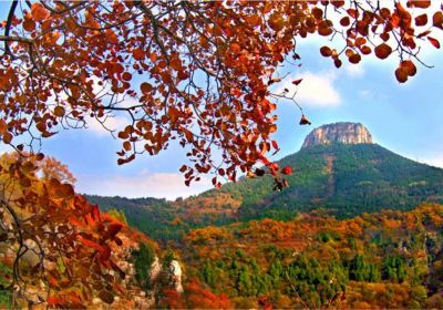 Baodugu National Forest Park