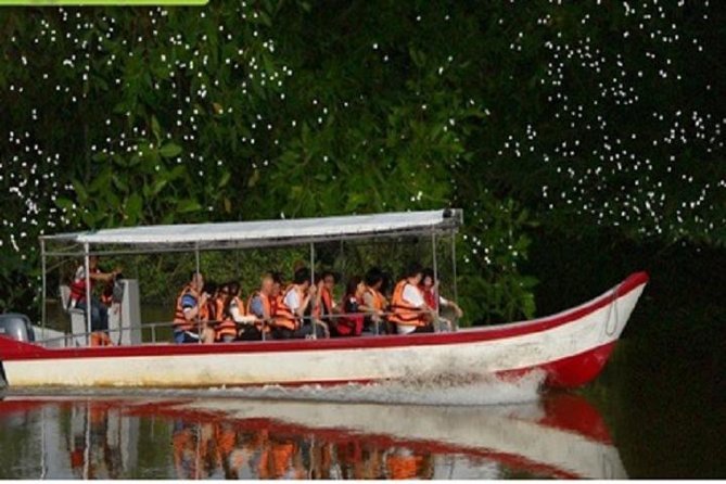 Fireflies Silver Leaf Monkey Seafood Dinner And Boat Ride Experience Trip Com