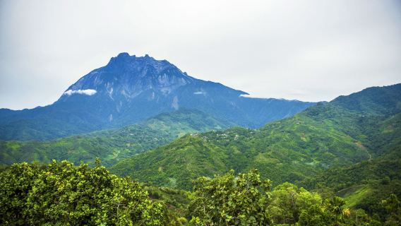 沙巴神山包車|中文司導 包車暢遊神山