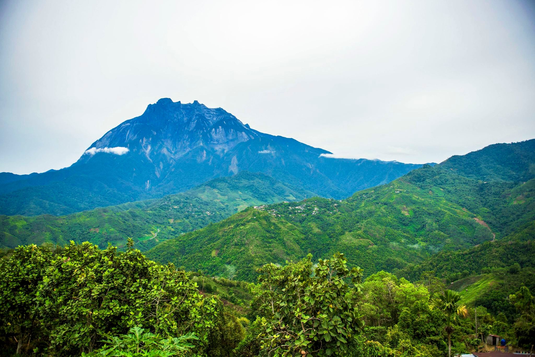 沙巴神山包車|中文司導 包車暢遊神山